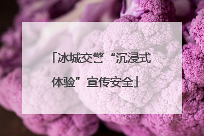 冰城交警“沉浸式体验”宣传安全