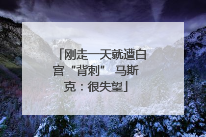 刚走一天就遭白宫“背刺” 马斯克：很失望