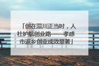 创在澴川正当时，人社护航创业路——孝感市返乡创业成效显著