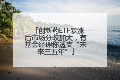 创新药ETF暴涨后市场分歧加大，有基金经理称透支“未来三五年”