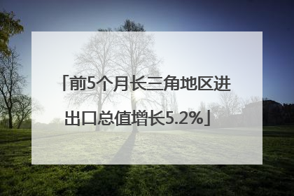 前5个月长三角地区进出口总值增长5.2%
