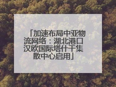 加速布局中亚物流网络：湖北港口汉欧国际塔什干集散中心启用