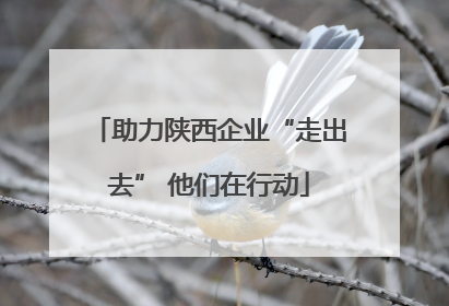 助力陕西企业“走出去” 他们在行动