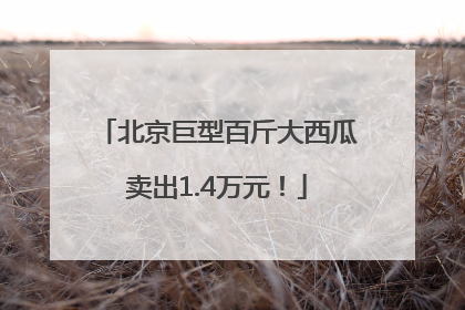 北京巨型百斤大西瓜卖出1.4万元！