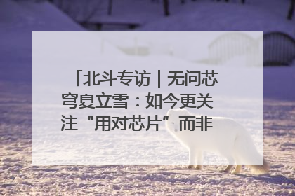 北斗专访｜无问芯穹夏立雪：如今更关注“用对芯片”而非“用贵芯片”