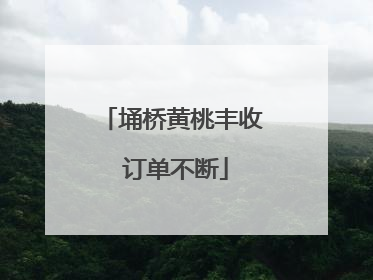 埇桥黄桃丰收 订单不断