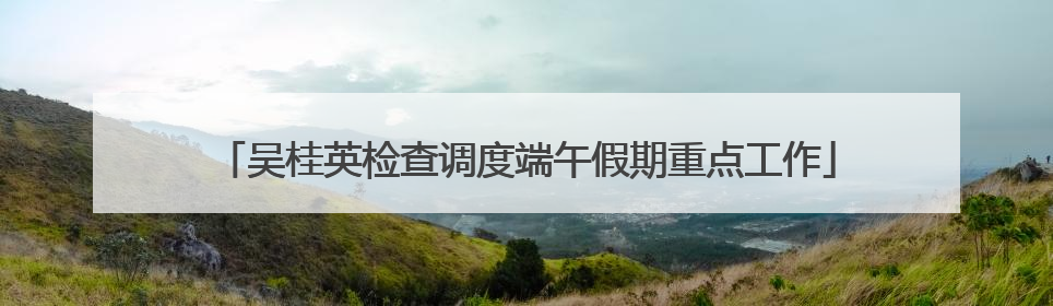 吴桂英检查调度端午假期重点工作
