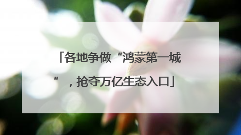 各地争做“鸿蒙第一城”，抢夺万亿生态入口