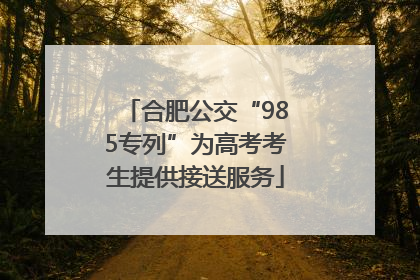 合肥公交“985专列”为高考考生提供接送服务