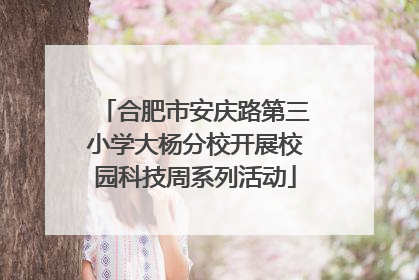 合肥市安庆路第三小学大杨分校开展校园科技周系列活动