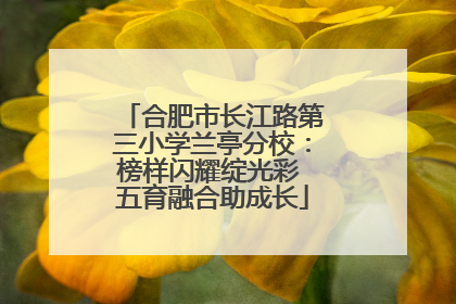 合肥市长江路第三小学兰亭分校：榜样闪耀绽光彩 五育融合助成长