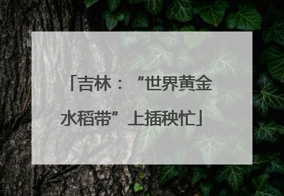 吉林：“世界黄金水稻带”上插秧忙