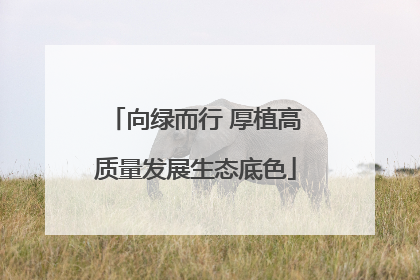 向绿而行 厚植高质量发展生态底色