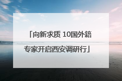 向新求质 10国外籍专家开启西安调研行