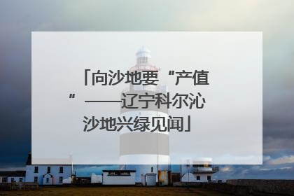 向沙地要“产值”——辽宁科尔沁沙地兴绿见闻
