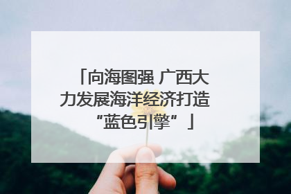 向海图强 广西大力发展海洋经济打造“蓝色引擎”