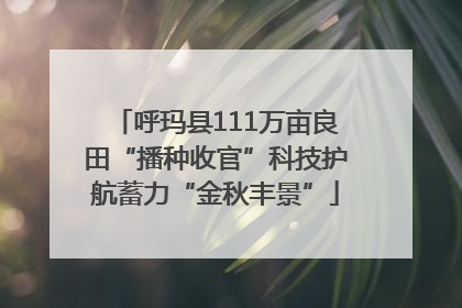 呼玛县111万亩良田“播种收官”科技护航蓄力“金秋丰景”