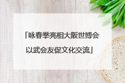咏春拳亮相大阪世博会 以武会友促文化交流