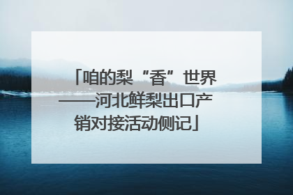 咱的梨“香”世界——河北鲜梨出口产销对接活动侧记
