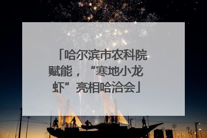 哈尔滨市农科院赋能，“寒地小龙虾”亮相哈洽会