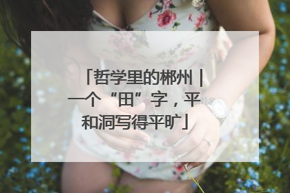 哲学里的郴州｜一个“田”字，平和洞写得平旷