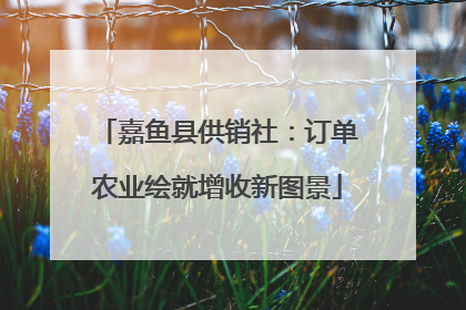 嘉鱼县供销社：订单农业绘就增收新图景