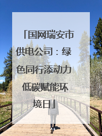 国网瑞安市供电公司：绿色同行添动力 低碳赋能环境日