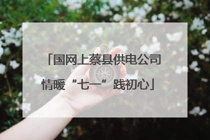 国网上蔡县供电公司情暖“七一”践初心
