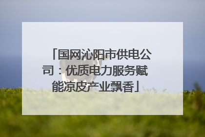 国网沁阳市供电公司：优质电力服务赋能凉皮产业飘香