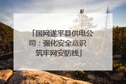 国网遂平县供电公司：强化安全意识 筑牢网安防线