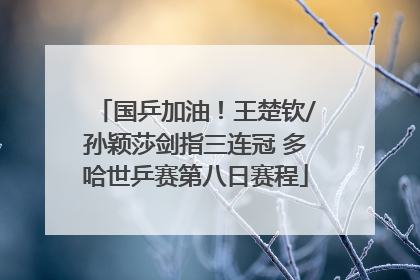 国乒加油！王楚钦/孙颖莎剑指三连冠 多哈世乒赛第八日赛程
