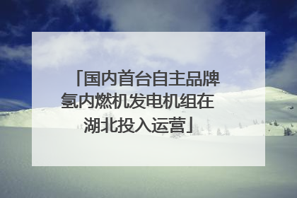 国内首台自主品牌氢内燃机发电机组在湖北投入运营