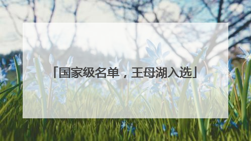 国家级名单，王母湖入选