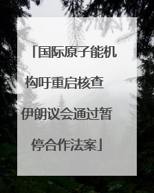 国际原子能机构吁重启核查 伊朗议会通过暂停合作法案