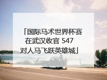 国际马术世界杯赛在武汉收官 547对人马飞跃英雄城