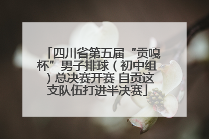 四川省第五届“贡嘎杯”男子排球（初中组）总决赛开赛 自贡这支队伍打进半决赛
