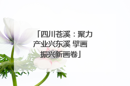 四川苍溪：聚力产业兴东溪 擘画振兴新画卷