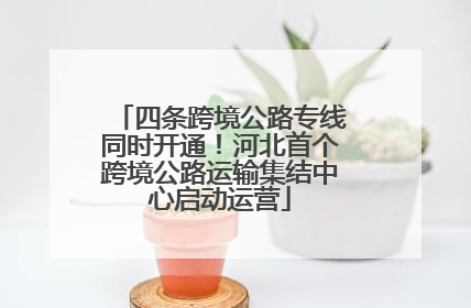 四条跨境公路专线同时开通！河北首个跨境公路运输集结中心启动运营