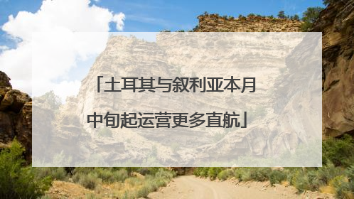 土耳其与叙利亚本月中旬起运营更多直航