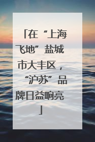 在“上海飞地”盐城市大丰区，“沪苏”品牌日益响亮