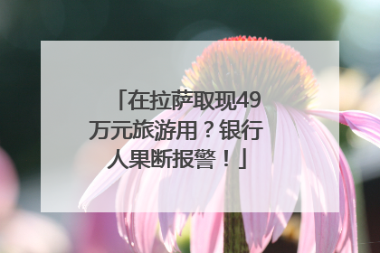 在拉萨取现49万元旅游用？银行人果断报警！