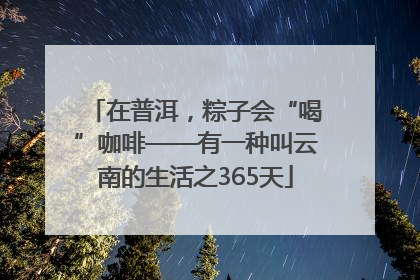在普洱，粽子会“喝”咖啡——有一种叫云南的生活之365天