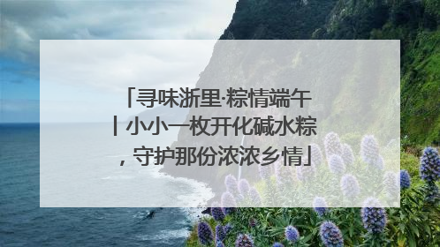 寻味浙里·粽情端午丨小小一枚开化碱水粽，守护那份浓浓乡情