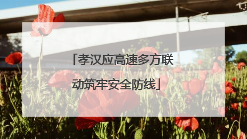 孝汉应高速多方联动筑牢安全防线