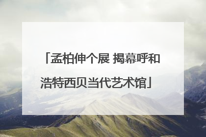 孟柏伸个展 揭幕呼和浩特西贝当代艺术馆