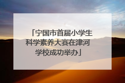 宁国市首届小学生科学素养大赛在津河学校成功举办