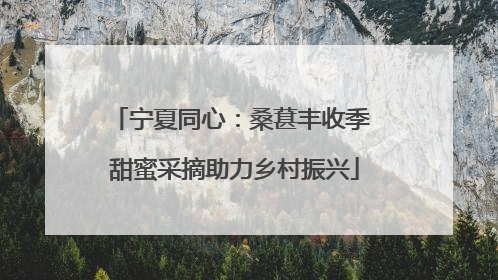 宁夏同心：桑葚丰收季 甜蜜采摘助力乡村振兴