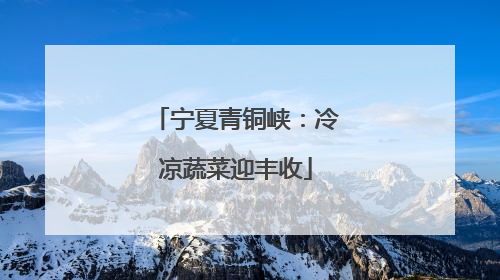 宁夏青铜峡：冷凉蔬菜迎丰收