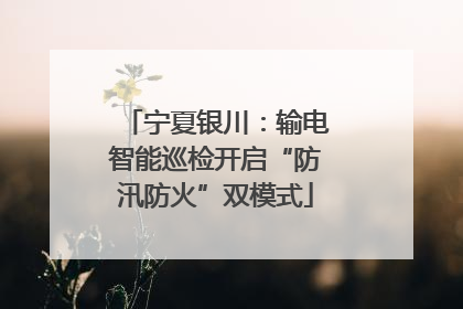 宁夏银川：输电智能巡检开启“防汛防火”双模式