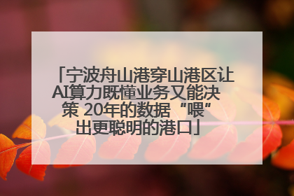 宁波舟山港穿山港区让AI算力既懂业务又能决策 20年的数据“喂”出更聪明的港口
